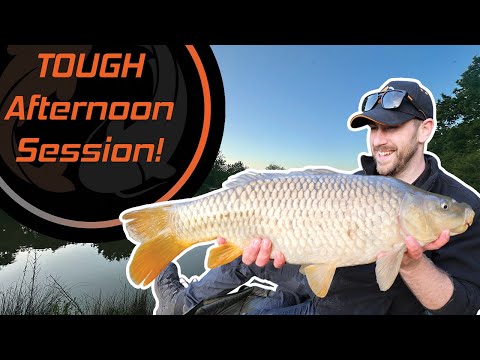 TOUGH Afternoon Session | Method Feeder and Surface Fishing For Carp