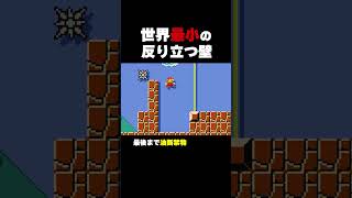 世界最小の反り立つ壁【マリオメーカー2】