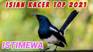Download lagu Gacor Kacer istimewa isian 2021 mp3