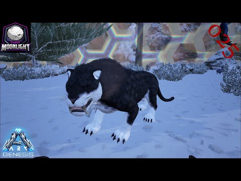 ARK: Genesis ➳ 025 - Schöner X-Sabertooth