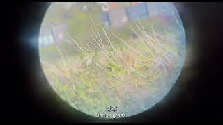 2024 南方影展 STFF｜In Your Shoes