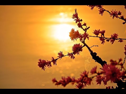 Il SEGRETO DELLA FELICITA'? Sii te stesso!