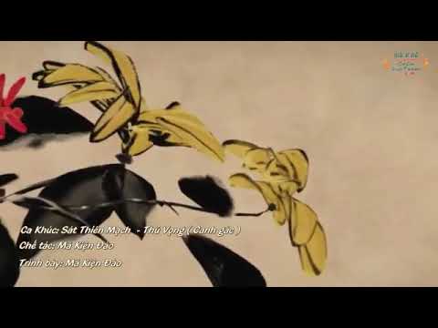 Thủ vọng [Vietsub] Ca khúc Sát Thiên Mạch -  杀阡陌 - 守望