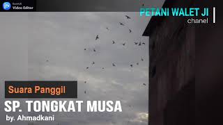Download lagu suara panggil SP. TONGKAT MUSA ori mp3 Download lagu suara panggil SP. TONGKAT MUSA ori mp3