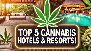 Top 5 Cannabis-Friendly Hotels & Resorts | Ultimate 420 Travel Guide