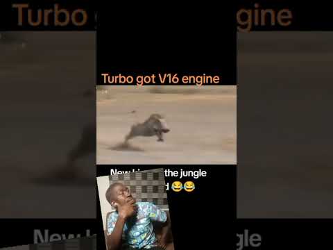 16valve turbo, kasango the king warthog