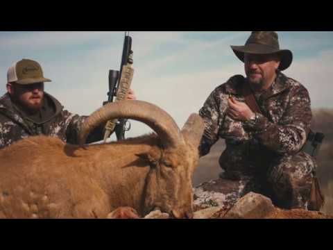 Norma BONDSTRIKE Extreme Long-Range Hunting Ammunition Testimonial