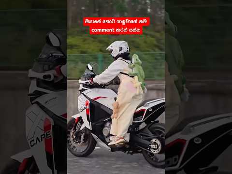 සයිස් එකෙන්  පොඩි උනාට පදින්නේ 1200 cc