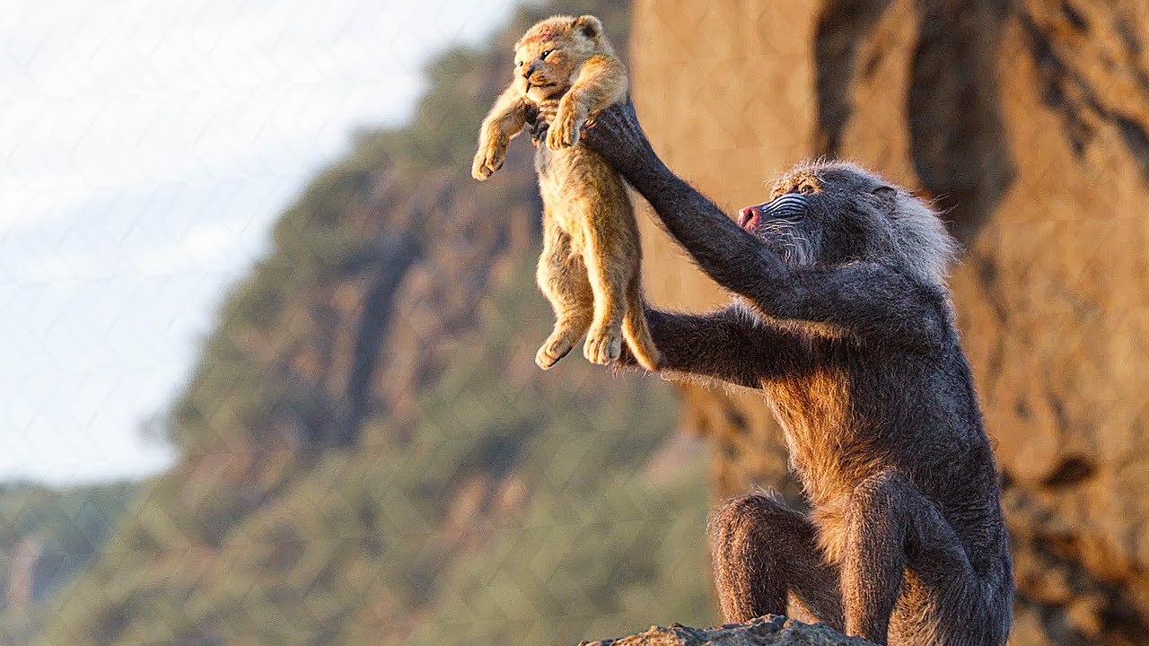 The Lion King, 2019 - Circle of Life Song Scene