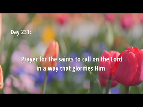 DAY 231: PRAYER FOR THE SAINTS TO CALL ON THE LORD IN A WAY THAT GLORIFIES HIM AND GIVES HIM...