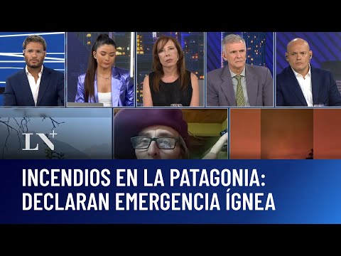 Se declara la emergencia ígnea en 4 provincias; en Chubut, Río Negro, Neuquén y La Pampa