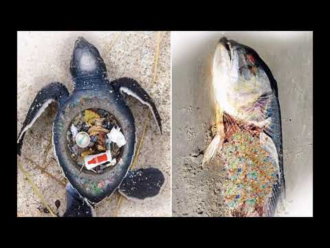 What really happens to the plastic you throw away