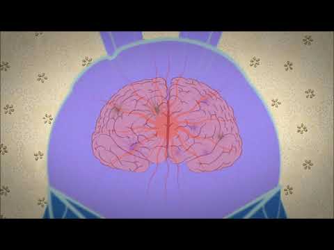 Debunking the myths of OCD   Natascha M  Santos  Edited version