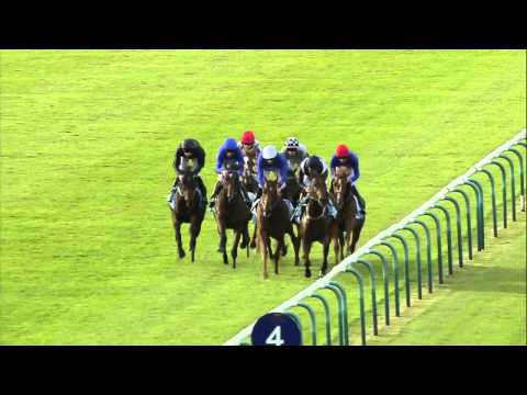 2014 Dubai Fillies' Mile - Together Forever