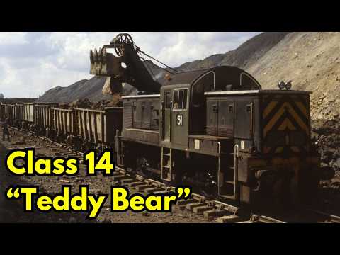 The British Rail Class 14 – Why Were These ‘Teddy Bears’ So Short-Lived Yet So Loved? #class14 #fyp