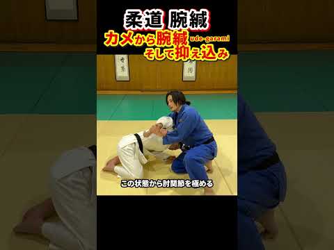 【実戦で使える腕がらみ①】カメから使う方法。※抑え込みでも使えます。#柔道 #judo #寝技 #関節技 #腕緘 #腕がらみ #shorts