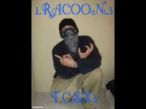 RACOON 919 TARASCO X3