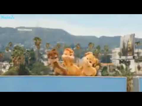 Happy birthday 🎂🎂🎂