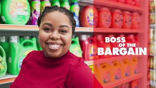 Save BIG on Essentials You Need and Surprises You Love At Big Lots!