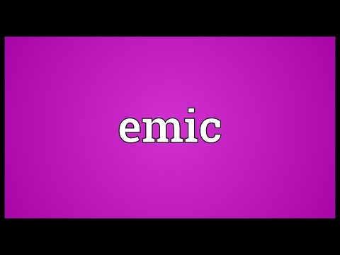 Emic Meaning