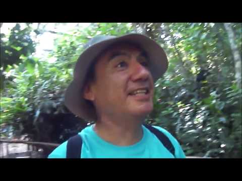 Recuerdos En La Lluvia - Los Ramblers