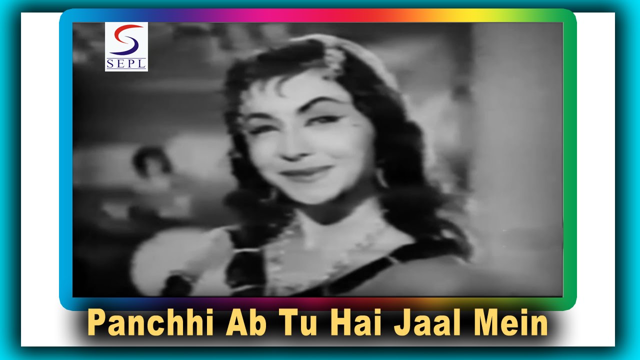 Panchhi Ab Tu Hai Jaal Me, Dokha Hai Teri Chaal Me Lyrics | Neeli Ankhen | Suman Kalyanpur | Dattaram Wadkar