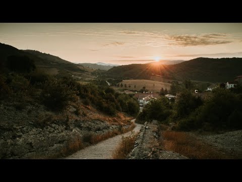 DA LI JE UZVIŠENI ALLAH STVORIO LJUDE DA IH NAGRADI ILI DA IH KAZNI || dr. Safet Kuduzović