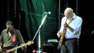 HYPNOTIZEN BOOGIE - DAVID WILCOX,  SOUTHSIDE SHUFFLE , 2009