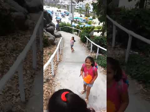 Felíz cumpleaños mi Daleska