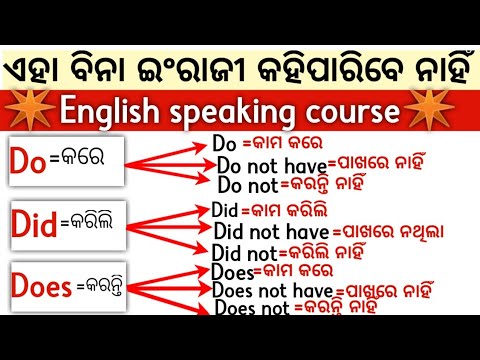 Do Does Did in English ।।Do Does Vs Did।। Do Does Did examples in Odia।।