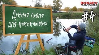 Ловля карася в пруду на фидер