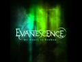 Evanescence - My Heart Is Broken (Türkçe Çevirisiyle)