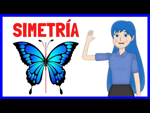 Symmetry and asymmetry explained: examples and exercises👩‍🏫