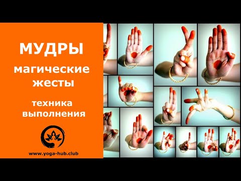 Мудры, что это такое и как их выполнять? Мудра здоровья, удачи и знания | Йога Хаб Клуб