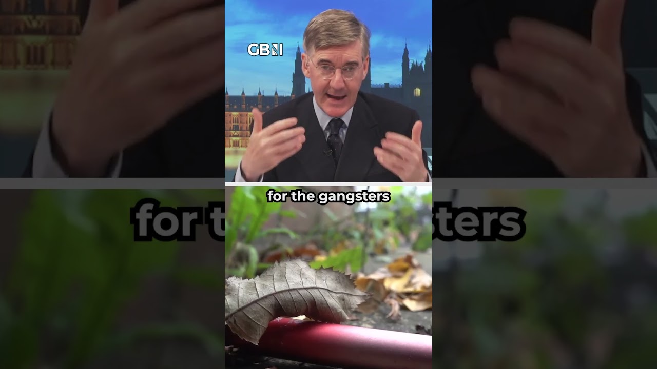Video: GB News segment links rising cigarette and gambling black markets to over-regulation