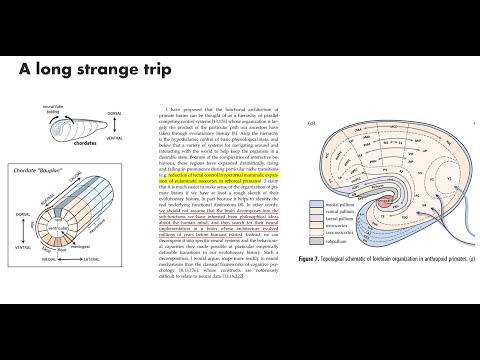 Multiscale Neuroscience Journal Club 01: Evolutionary perspectives on brain & behavior