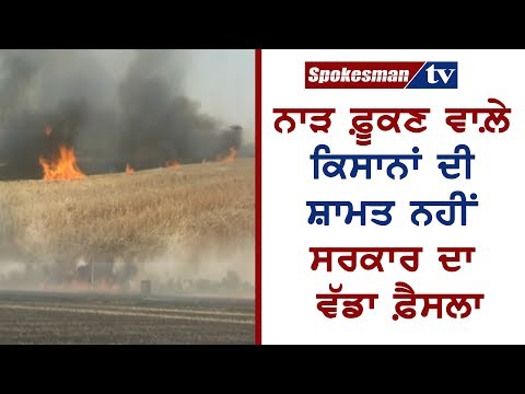 ਨਾੜ ਫ਼ੂਕਣ ਵਾਲ਼ੇ ਕਿਸਾਨਾਂ ਦੀ ਸ਼ਾਮਤ ਨਹੀਂ ਸਰਕਾਰ ਦਾ ਵੱਡਾ ਫ਼ੈਸਲਾ