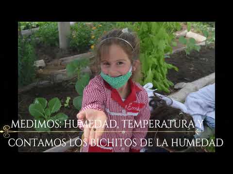 Escuela Nro. 60 Montecoral - Florida