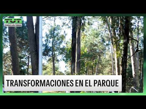 PARQUE ROOSEVELT: el plan para transformar el pulmón de Canelones 🌳