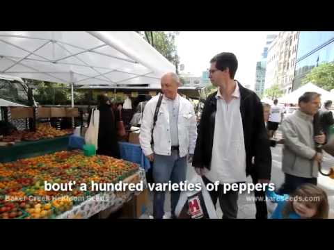 New York Market.mp4