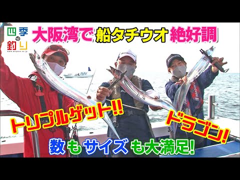 大阪湾で船タチウオ絶好調　数もサイズも大満足！（四季の釣り2021年11月12日放送）