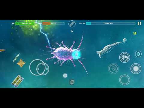 Tardigradia marine bionix 