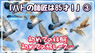 レーシングピジョンストーリー（ある愛鳩家の物語）「ハトの師匠は85才③」（転編）