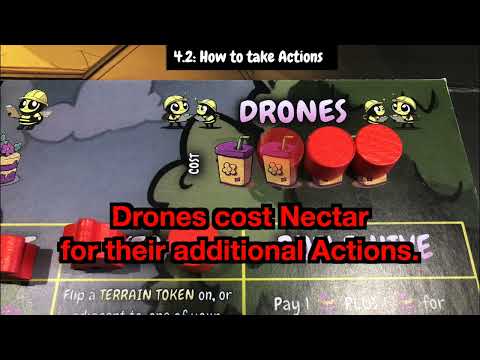 4.1/4.2: Before Taking Actions/How to Take Actions