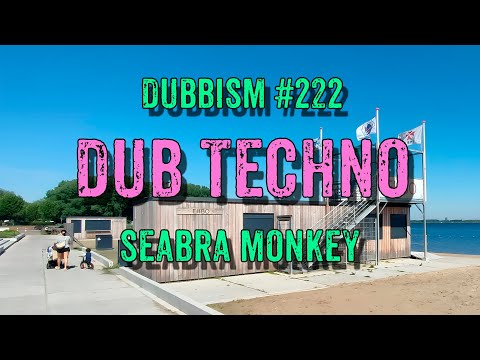 DUB TECHNO || DUBBISM №222 - Seabra Monkey