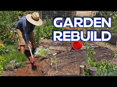 Why I Destroyed And Rebuilt My First Garden