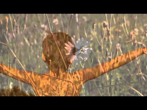 Augusta debesīs / R.Kaupers/L.Jansone/R.Tiguls/L.Tevanyan/I.Ziedonis