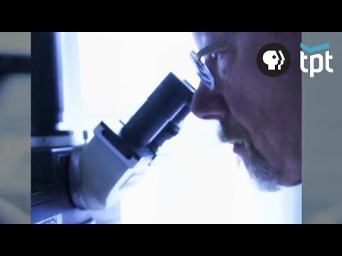 How Forensics Works To Solve Crimes: Beyond CSI