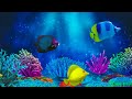 Baby Lullaby Soothing Fishes Calming Undersea Animation Aquarium