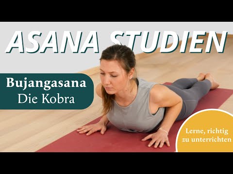 Yoga Asana-Studien "Bujangasana - die Kobra" | genaue Anleitung mit Korrektur